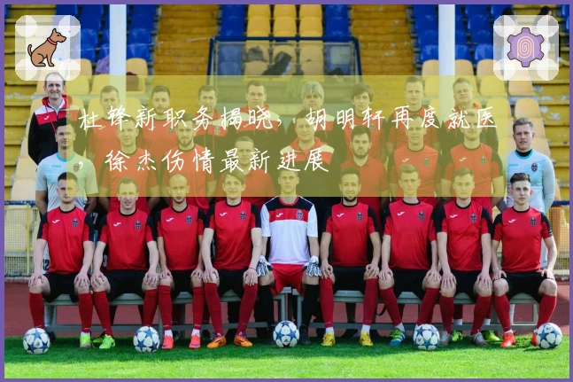 杜锋新职务揭晓，胡明轩再度就医，徐杰伤情最新进展